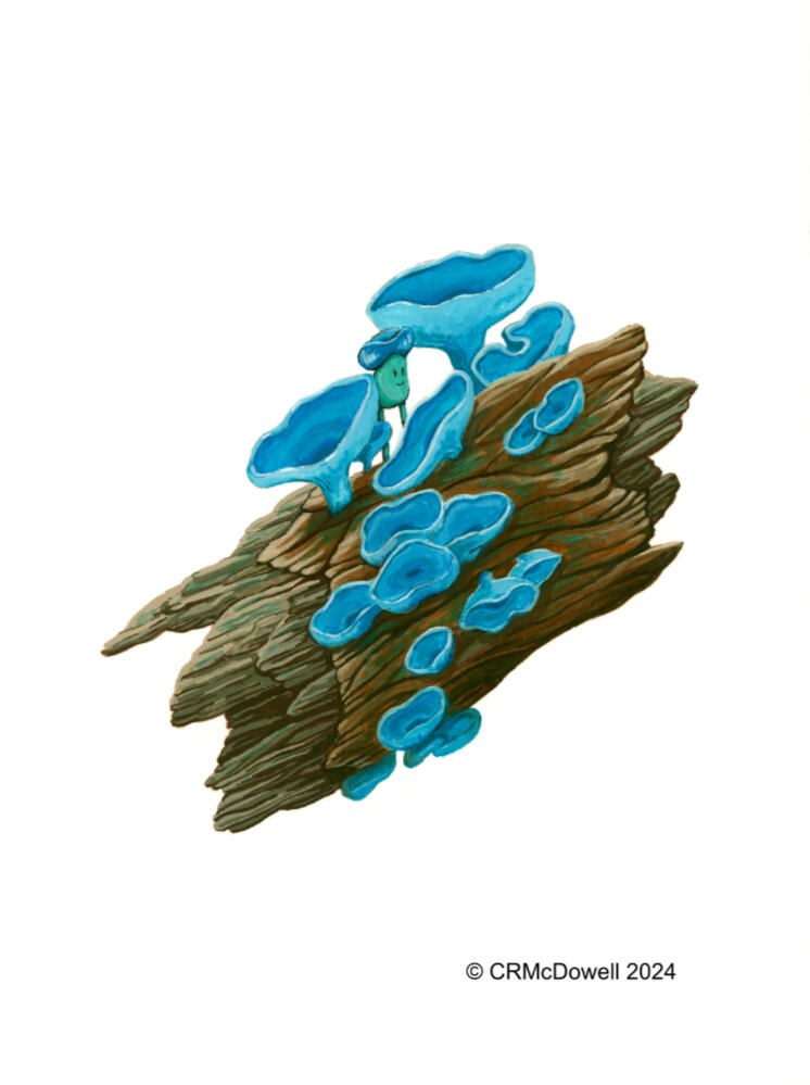 Blue Mushroom Sprite (Original Matted Artwork 8"x10")